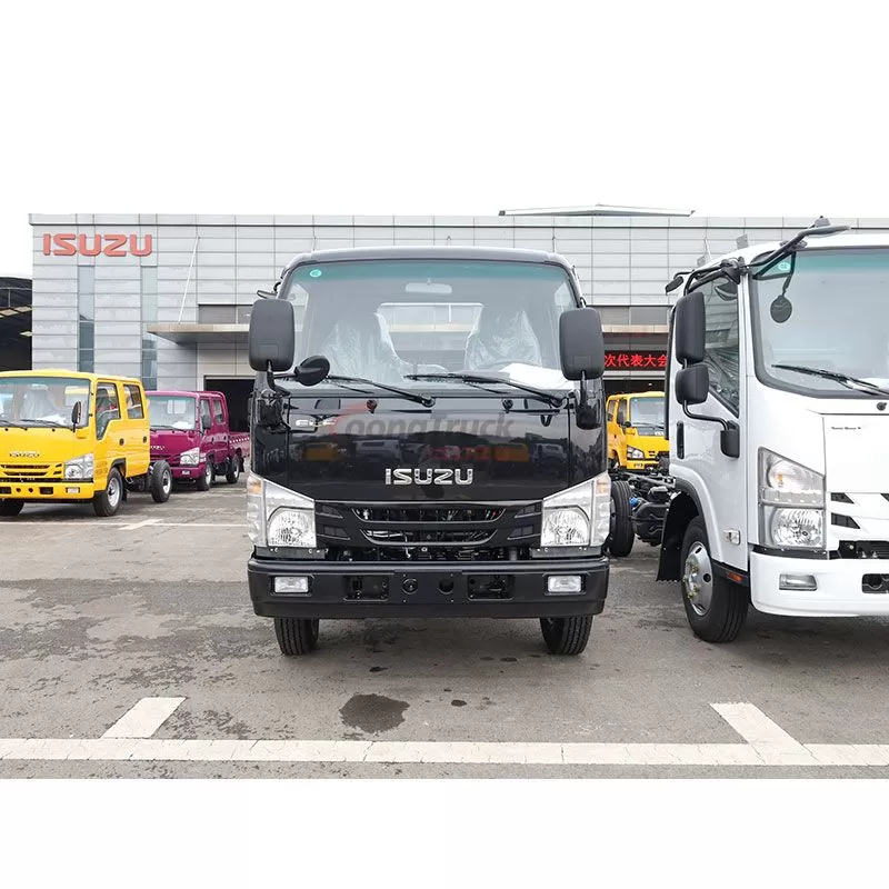 Light Commercial Vehicle New Best Sale and Beautiful Quality Cabin Chassis