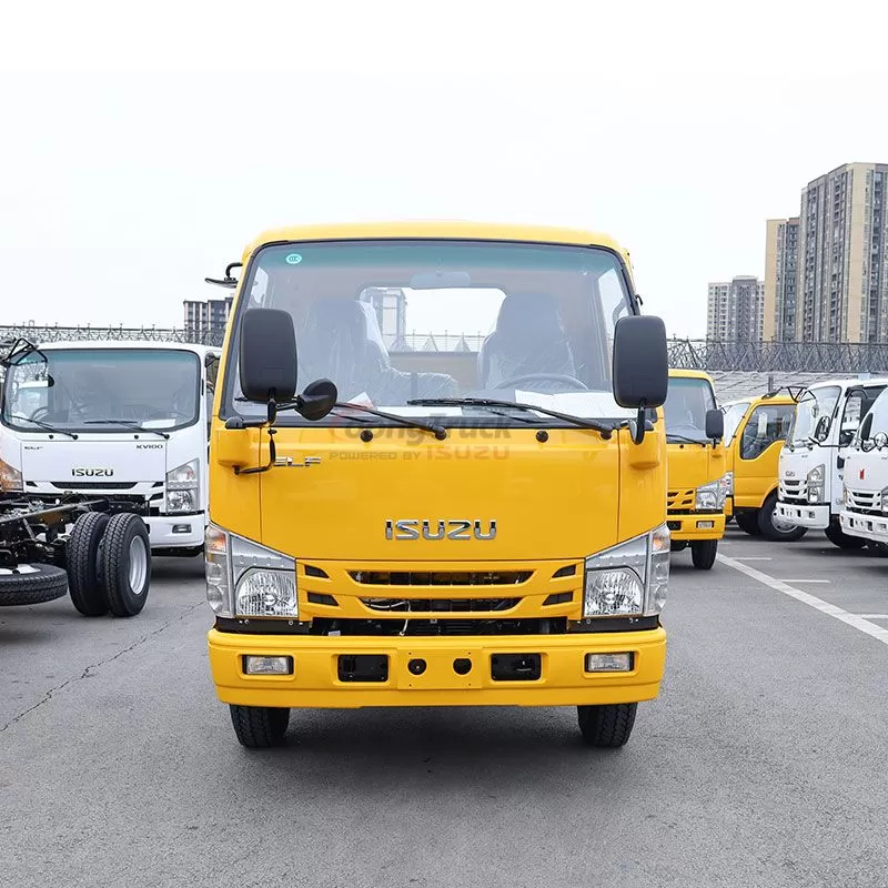 Best Selling New Light Commercial Vehicle Beautiful Quality Cabin Chassis Diesel Fuel 4x2 Drive Wheel Left Steering