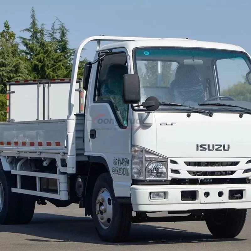 Hot Sale Isuzu 100p 2-5t 4X2 Light Cargo Van Truck with Single Cabin