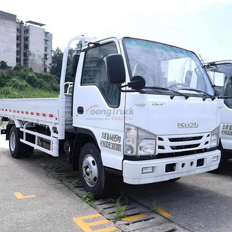 Hot Sale Isuzu 100p 2-5t 4X2 Light Cargo Van Truck with Single Cabin