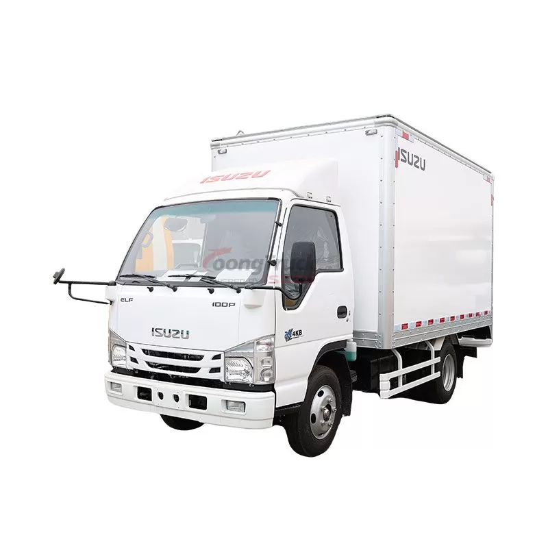 New Isuzu 100P Van Truck: Efficient and Durable for Delivery