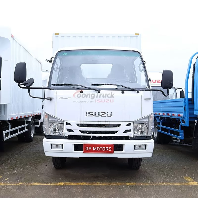 New Isuzu 100P Van Truck: Efficient and Durable for Delivery