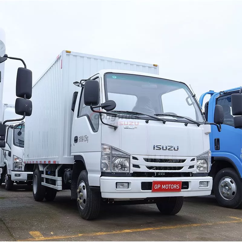 New Isuzu 100P Van Truck: Efficient and Durable for Delivery