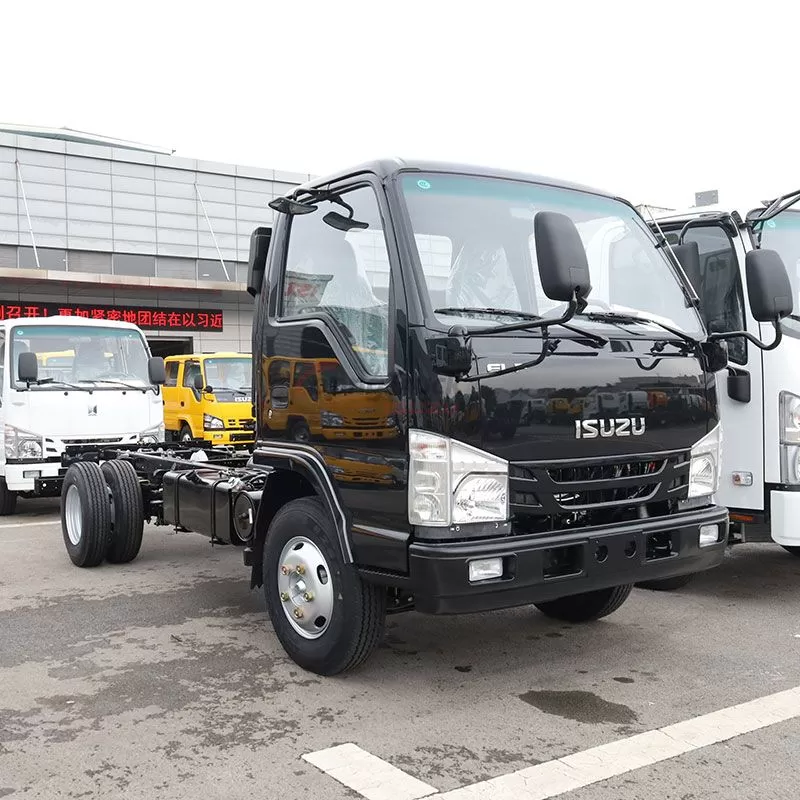 Isuzu 100P Chassis: Durable, High-Performance Base for Commercial Vehicle Conversions & Logistics Operations