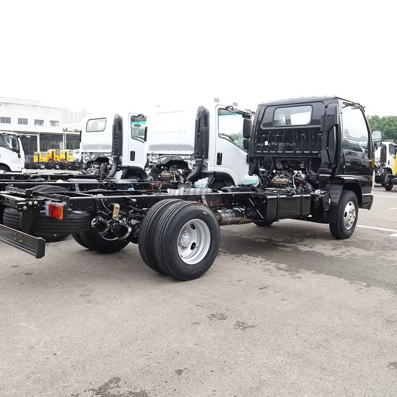 Isuzu 100P Chassis: Durable, High-Performance Base for Commercial Vehicle Conversions & Logistics Operations