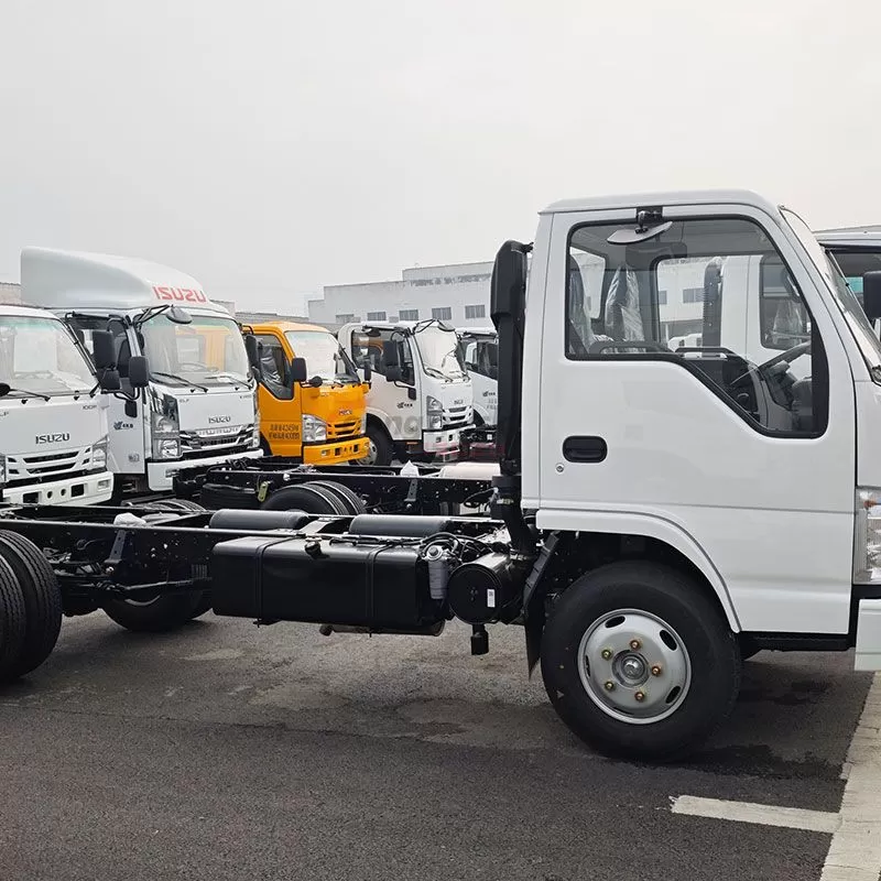 Isuzu 100P Chassis – Durable Base for Versatile Commercial Vehicle Conversions & Logistics