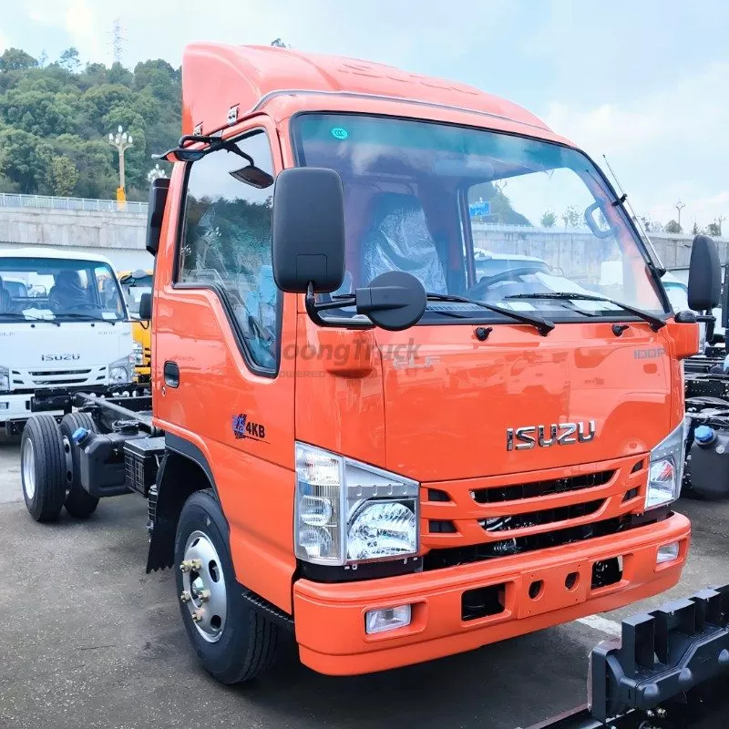 Best Selling Euro 6 Isuzu NHR 100P Diesel 4x2 Single Cab Chassis