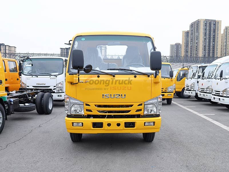 Best Selling New Light Commercial Vehicle Beautiful Quality Cabin Chassis Diesel Fuel 4x2 Drive Wheel Left Steering