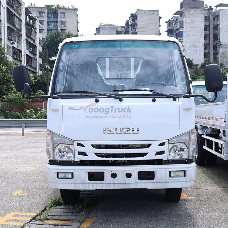 Hot Sale Isuzu 100p 2-5t 4X2 Light Cargo Van Truck with Single Cabin