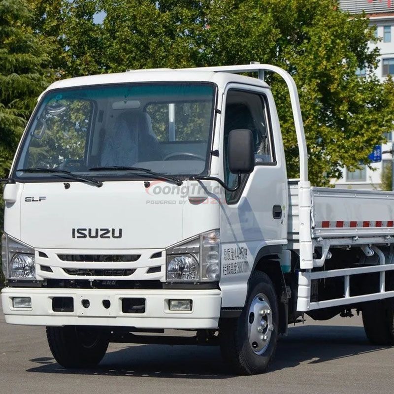 Hot Sale Isuzu 100p 2-5t 4X2 Light Cargo Van Truck with Single Cabin