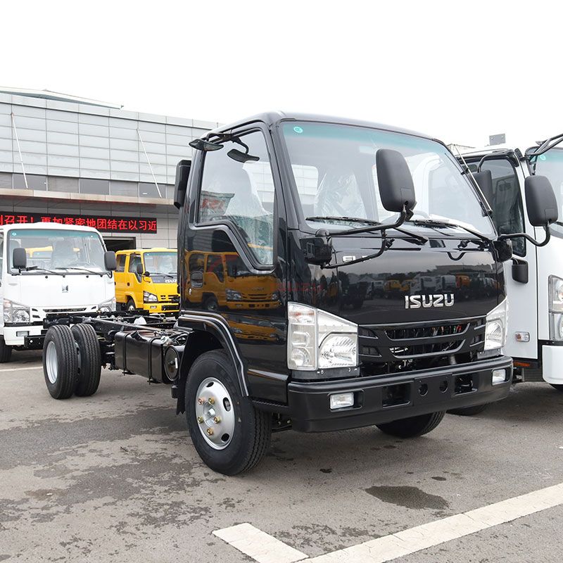 Isuzu 100P Chassis: Durable, High-Performance Base for Commercial Vehicle Conversions