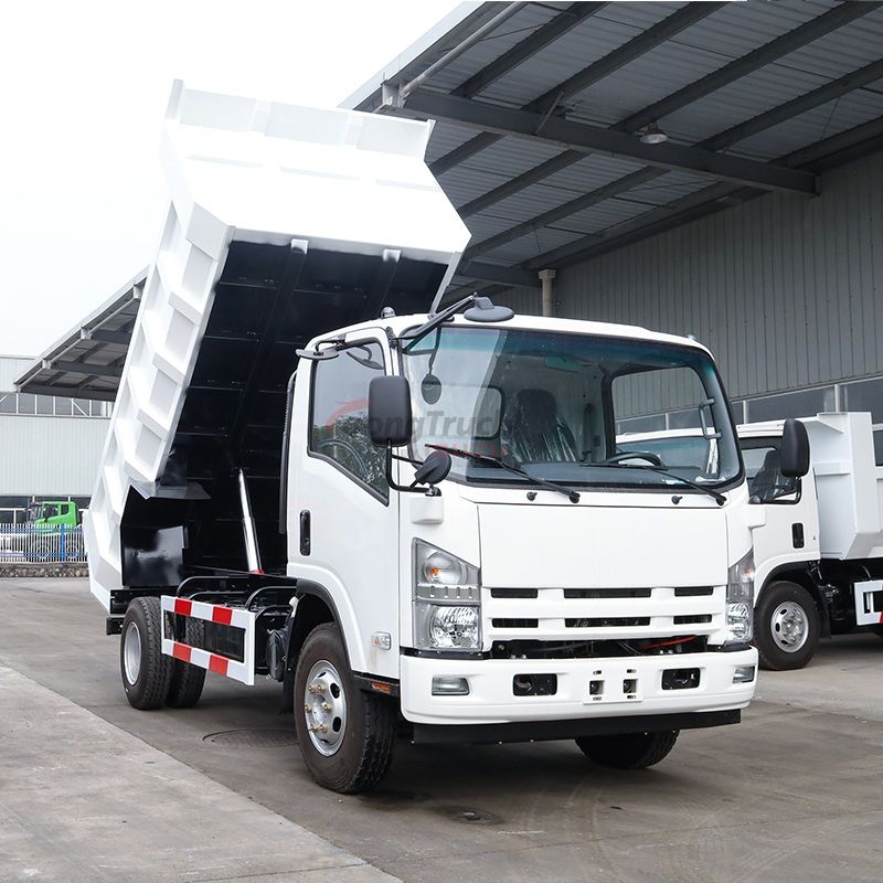 China Qingling ISUZU NPR Dump Truck Tipper 205HP