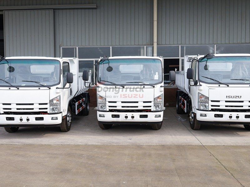 China Qingling ISUZU NPR Dump Truck Tipper 205HP