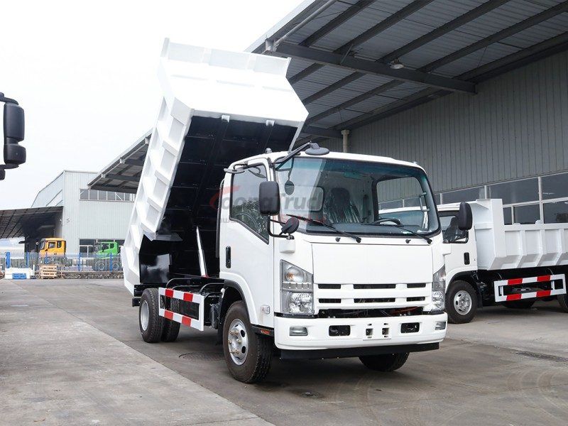 China Qingling ISUZU NPR Dump Truck Tipper 205HP
