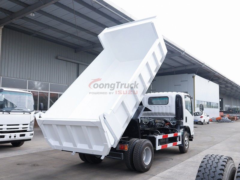 China Qingling ISUZU NPR Dump Truck Tipper 205HP